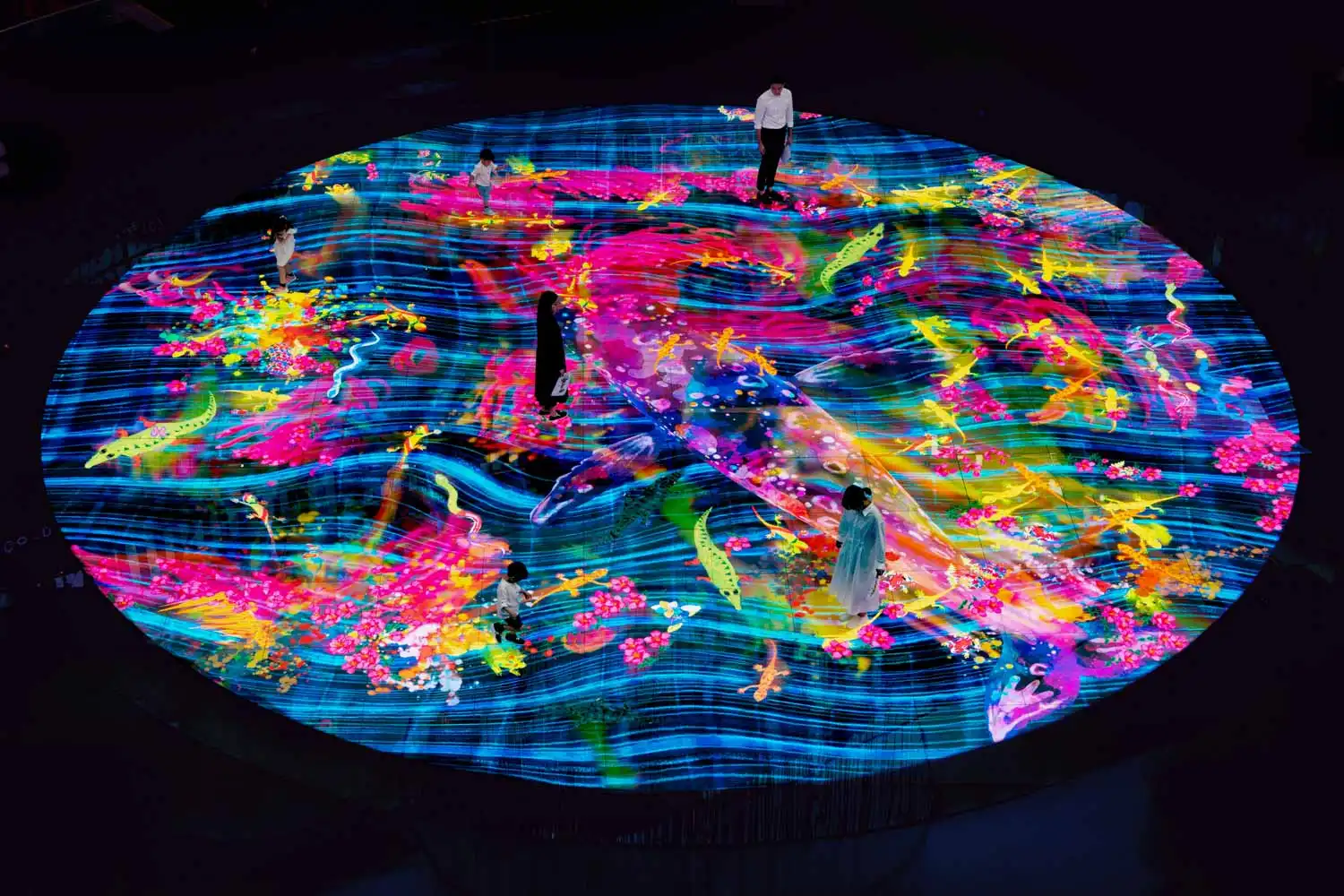 Digital Light Canvas in Singapore - Immersive Experience